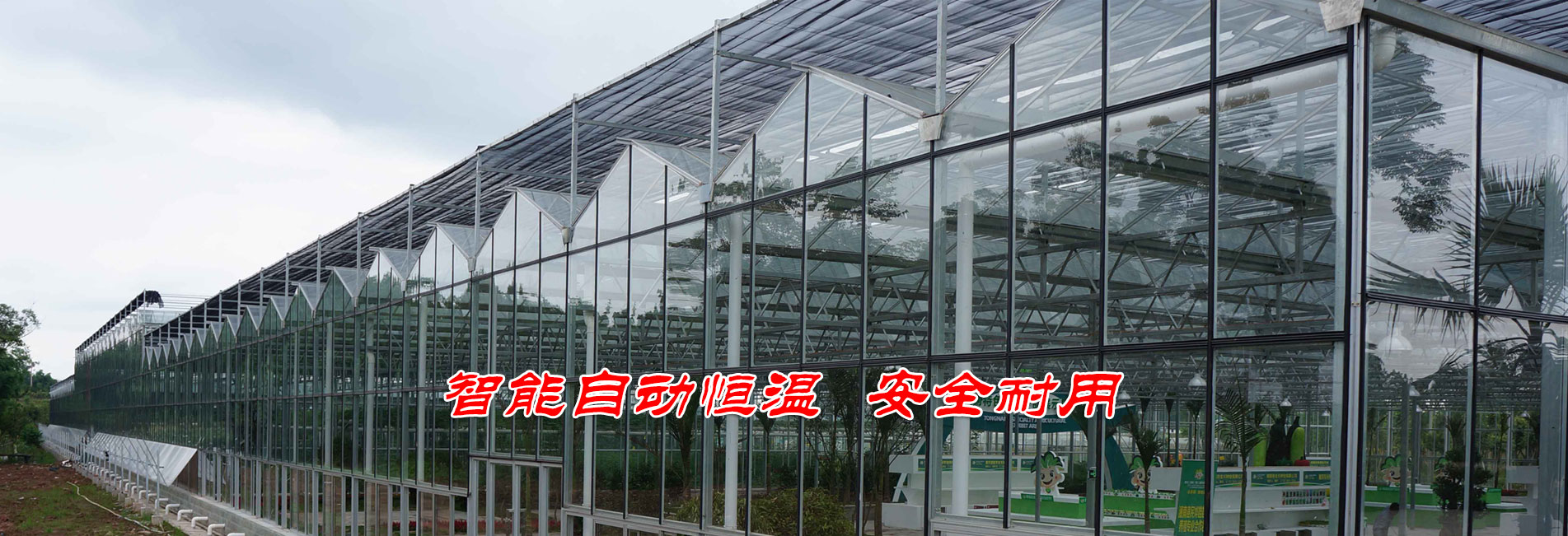 探究聚氨酯膠水聚醚對聚氨酯膠黏劑固化速度和開放時間的調控作用